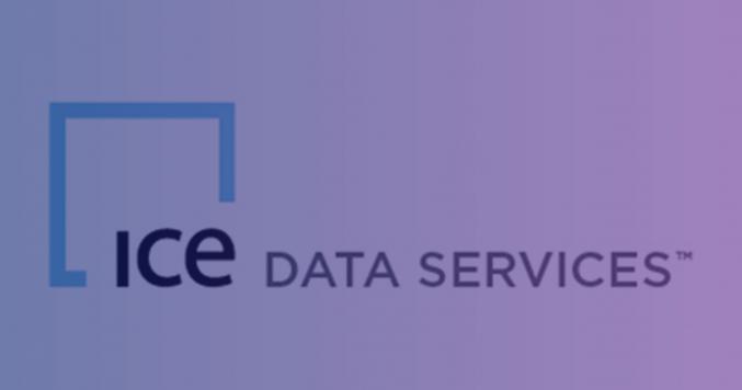 ice data services